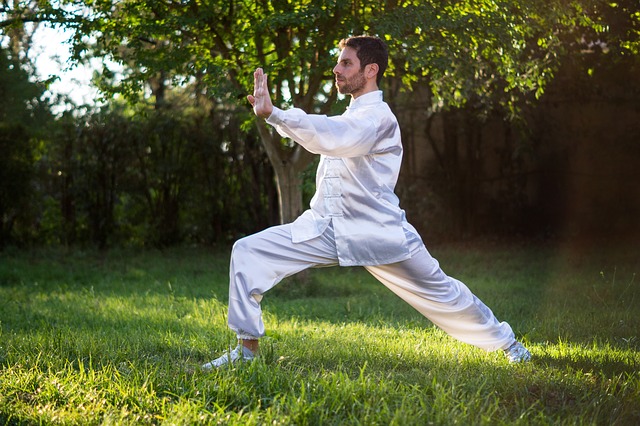 Chi Kung - Tai Chi - Escuela de yoga Aragón SADHANA ZARAGOZA